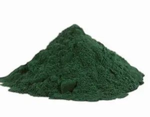 CAS 11006-34-1 Mulberry Leaf Extract Powder Sodium Magnesium Chlorophyllin