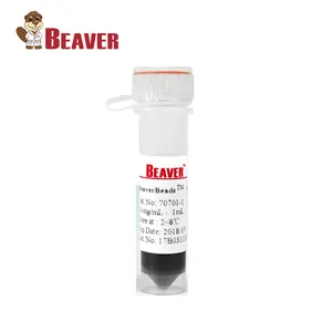 2018 BeaverBeads TM Sfere Magnetiche Magrose NHS con Superparamagnetico Perline