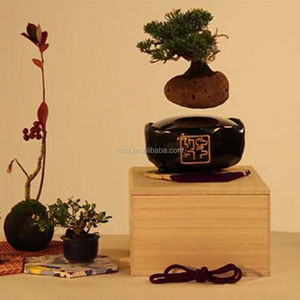 Levitando Japonés árboles bonsai artificiales con semillas de bonsai - Product Image 5