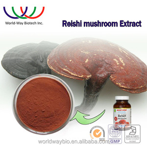 Cinese a base di erbe <span class=keywords><strong>medcine</strong></span> ganoderma lucidum estratto, 100% naturale fungo reishi estratto in polvere - Product Image 2