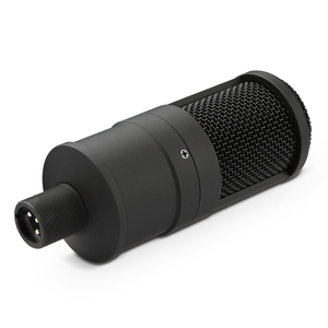 Professional Cardioid Condenser <strong>Microphone</strong> Customized Handheld Wired <strong>Recording</strong> Studio <strong>Microphone</strong> for Computer Made of Plastic - Product Image 2