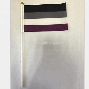 Cheap Stock 100%polyester 3*5ft LGBT Asexual Pride Flag with Grommets - Product Image 3