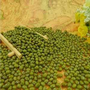 Especificaciones de los granos verdes Mung de exportación - Product Image 4