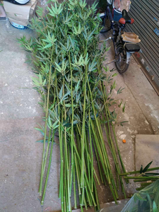 Plante artificielle de 1 à 5m de haut, <span class=keywords><strong>bambou</strong></span> artificiel porte-bonheur - Product Image 2