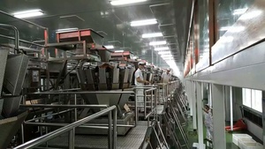 Pesador automático de 10 cabezales <span class=keywords><strong>para</strong></span> máquina de embalaje, dispositivo <span class=keywords><strong>para</strong></span> medición de alimentos sólidos y granulados - Product Image 5