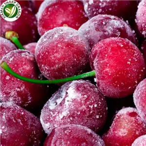 IQF Best Frozen Organic Dark Red Sweet Tart Pitted Cherries Unsweetened Acerola Berry Freeze Freezing Bulk Wholesale price