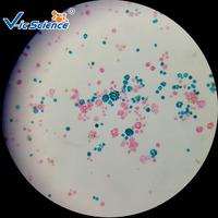 100pcs Microbiology Slides Microscope Prepared Slides