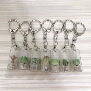 פלאפי לבן קקטוס קקטוס חי צמח Keychain