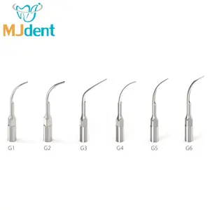 Tandheelkundige Ultrasone Scaler Tips Endo Scaler Tips Tandarts Satelec G1 G2 G3 P1 P2 P3 Verschillende Soorten