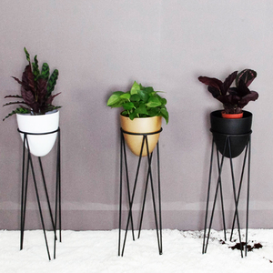 Super <span class=keywords><strong>septembre</strong></span>, présentoir de jardin/fleuriste, étagère <span class=keywords><strong>en</strong></span> métal, support pour plantes, pot de <span class=keywords><strong>fleurs</strong></span> - Product Image 1