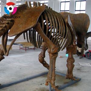 Modelo de Esqueleto de Dinosaurio <span class=keywords><strong>Triceratops</strong></span> de Tamaño <span class=keywords><strong>Real</strong></span> para Exhibición en Parques - Product Image 6