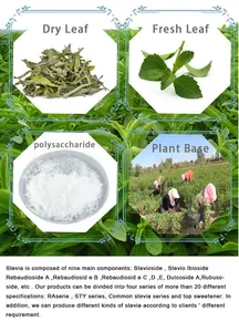 HONGDA Factory Wholesale Stevia Sugar Stevia Sugar Sweetener Stevia Extract