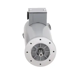 82ZYT12-200-3000 motor 12V 200watt 3000rpm Dc motor motor