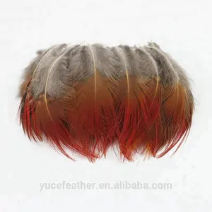 1.6-2.8 Inch(4-7 cm)Wholesale High Quality Natural Red Pheasant Feather