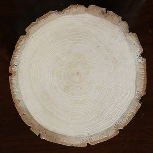 Tranches de bois de bouleau en vrac avec écorce, faites à la main et polies, formes et tailles variées, personnalisables avec logos/images, pour la décoration intérieure DIY et les cadeaux - Product Image 6