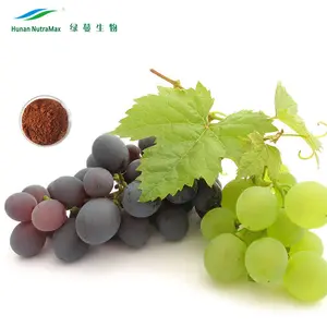 China fabricante rojo natural extracto de hoja de uva, uva roja extracto de hoja de polvo, uva roja hoja p.e.
