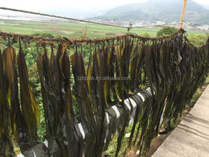 <span class=keywords><strong>Algas</strong></span> <span class=keywords><strong>marrones</strong></span> secas Color verde Fujian Sea Kelp Seaweed Sheet/Planta entera/Hoja larga 90cm - Product Image 6