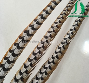 Proveedores de China de gran tamaño natural reeves <span class=keywords><strong>faisán</strong></span> plumas de cola para los trajes de carnaval - Product Image 2