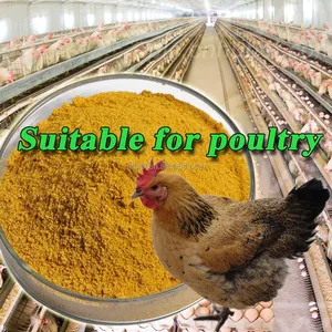 Best Price Corn Germ For Animal Feed