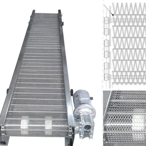 Belt Conveyor Focus Machinery Made 304 Stainless Steel Wire Mesh Plate Customized Belt Conveyor