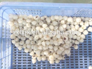 Lychee Longan Ram butan Peeling Peeling und Entsaften Produktions verarbeitung linie - Product Image 5