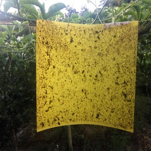 Pièges autocollants écologiques PP bleu jaune, tailles et logo personnalisables, vente en gros, pièces - Product Image 2