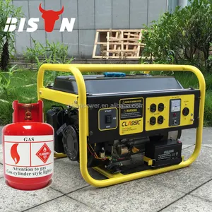 BISON çin 1.5kw 2kw 2.5kw 3kw küçük ev doğal gaz lpg jeneratör