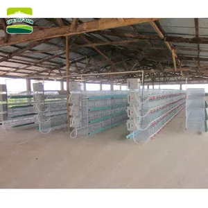 Morefinerm Galvanized Wirmini PC for Broiler Chicken Automated Broiler Cage Gaming PC New Product 2023 Provided Chicken Coop 100