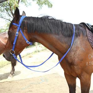 Licol — équipement d'équitation avec bride, durable - Product Image 1