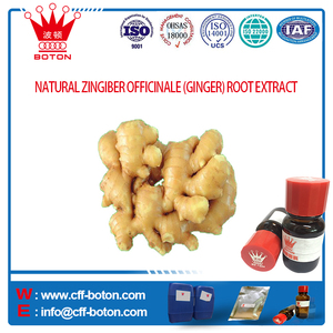 JENGIBRE <span class=keywords><strong>ZINGIBER</strong></span> <span class=keywords><strong>OFFICINALE</strong></span> EXTRACTO NATURAL - Product Image 1