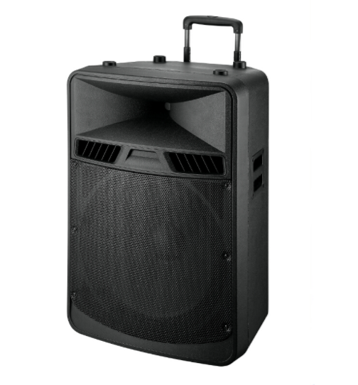 12"2 WAY SPEAKER BOX