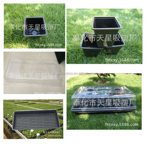 <strong>Plastic</strong> Seedling <strong>Tray</strong> for <strong>Sell</strong>, Available From 32,45,50,72,98,104,105,128,136,200,242,288,406,512 Cell - Product Image 2