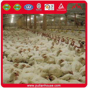 En todo <span class=keywords><strong>el</strong></span> mundo se utilizan precios baratos de casas prefabricadas para la construcción de gallineros de aves de <span class=keywords><strong>corral</strong></span> - Product Image 1