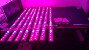IP65 LED <span class=keywords><strong>Aquarium</strong></span> Fish Tank Éclairage <span class=keywords><strong>Luminaire</strong></span> <span class=keywords><strong>pour</strong></span> le Récif de Corail - Product Image 4