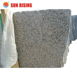 Carreaux de granit Rosa Porino rose 24x24 en gros - Product Image 5