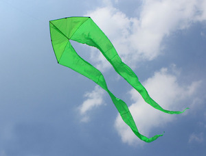 Grand <span class=keywords><strong>cerf</strong></span>-<span class=keywords><strong>volant</strong></span> fantôme populaire facile à faire voler à vendre - Product Image 3