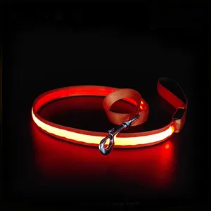 Glowing In The Dark Usb Polyester Glowing Light Up Reflective Led Pet Dog Leash With Light Flashlight