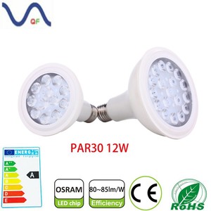 Mejor calidad precio competitivo 3 años de garantía 12 W <span class=keywords><strong>eurolite</strong></span> led par 30 cob - Product Image 1