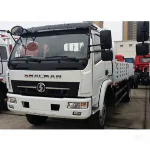 Shacman 4x2 트럭 6cbm 화물 경트럭 판매