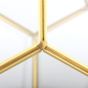 Glas Gold Kupfer geometrisches <span class=keywords><strong>Terrarium</strong></span>/Glaskugel Hängendes <span class=keywords><strong>Terrarium</strong></span> - Product Image 3