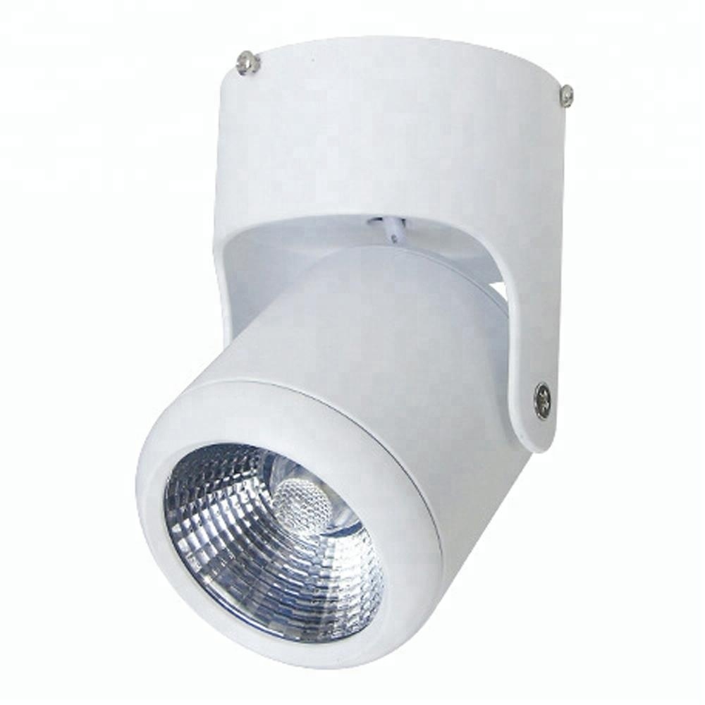 Modern Surface Mounted Adjustable 15w Round Led Ceiling Lamp