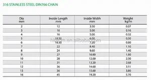 Stainless Steel DIN 766 Polished Short Link Chain