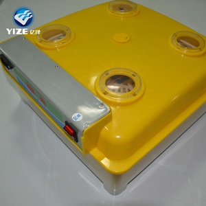 Cómo Construir una Incubadora de 48 Huevos para Huevos de Pato - Product Image 5