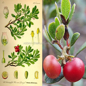 Gmp chứng nhận tự nhiên Bearberry chiết xuất chất lượng cao Alpha Arbutin cấp thực phẩm bột tinh thể dung môi lá Halal chứng nhận <span class=keywords><strong>hplc</strong></span> - Product Image 6