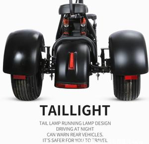 Scooter Eléctrico Halley para Adultos, 60V 12AH 20AH 1000w 1500w 2000w, Triciclo <span class=keywords><strong>Citycoco</strong></span> con Batería de Litio de 1500mAh - Product Image 5