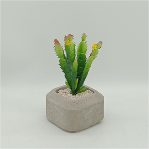 <span class=keywords><strong>Cactus</strong></span> Artificiale <span class=keywords><strong>in</strong></span> Cemento Fatto a Mano, Mini <span class=keywords><strong>Cactus</strong></span> Realistico <span class=keywords><strong>in</strong></span> Vaso, Vendita all'Ingrosso - Product Image 1