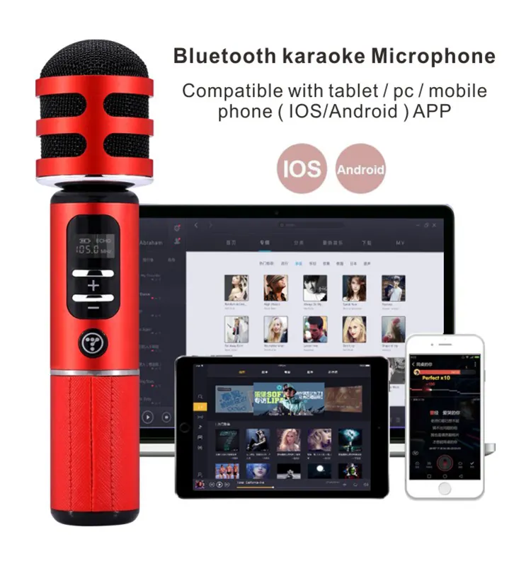 Taşınabilir Araç FM Karaoke mikrofon Tosing05 Zevk Şarkı Araba