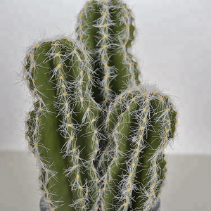 Verde <span class=keywords><strong>Opuntia</strong></span> 25cm <span class=keywords><strong>Cactus</strong></span> nuevo <span class=keywords><strong>Cactus</strong></span> Oficina <span class=keywords><strong>Cactus</strong></span> realista - Product Image 3