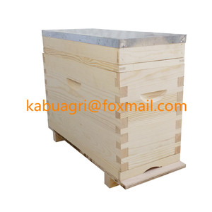 Hot Sale 4 Rahmen/5 Rahmen Bienenstock NUC Box für Bienen königin