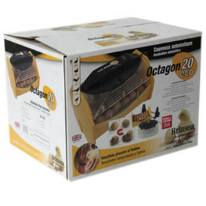 Machine de découpe semi-automatique ZH MY1300 pour papier ondulé laminé, plaque d'impression CTP, impression offset ou UV, boîte en <span class=keywords><strong>carton</strong></span> - Product Image 5